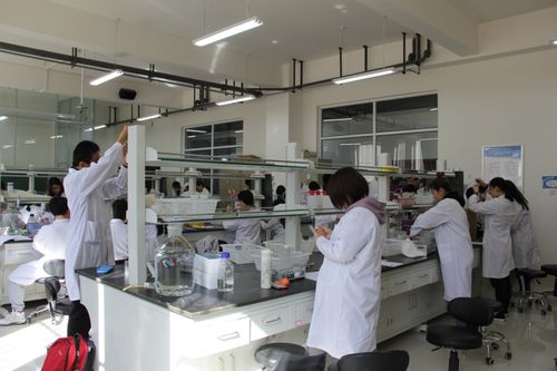 內蒙古大學生物科學入選教育部基礎學科拔尖學生培養計劃2.0基地