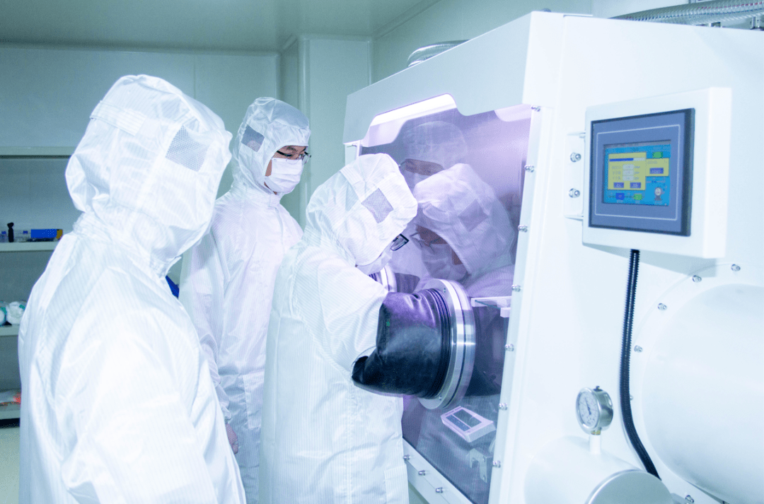 科研新進(jìn)展:理化所新型碳基納米材料的生物應(yīng)用研究取得進(jìn)展